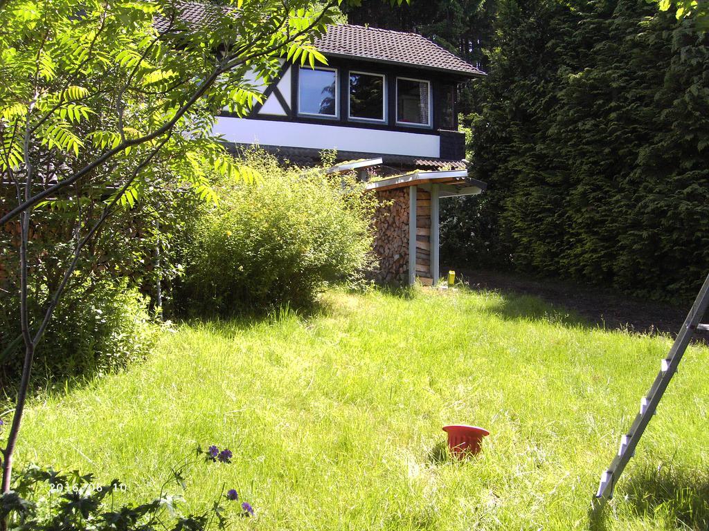 Ferienwohnung Daehne Allagen Esterno foto