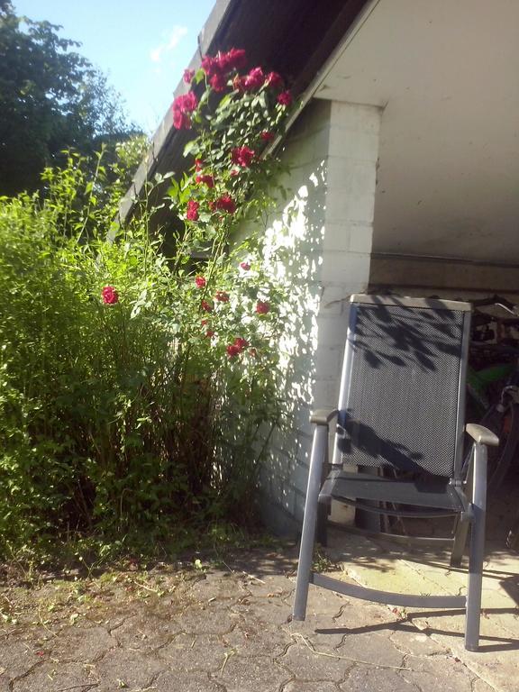 Ferienwohnung Daehne Allagen Esterno foto